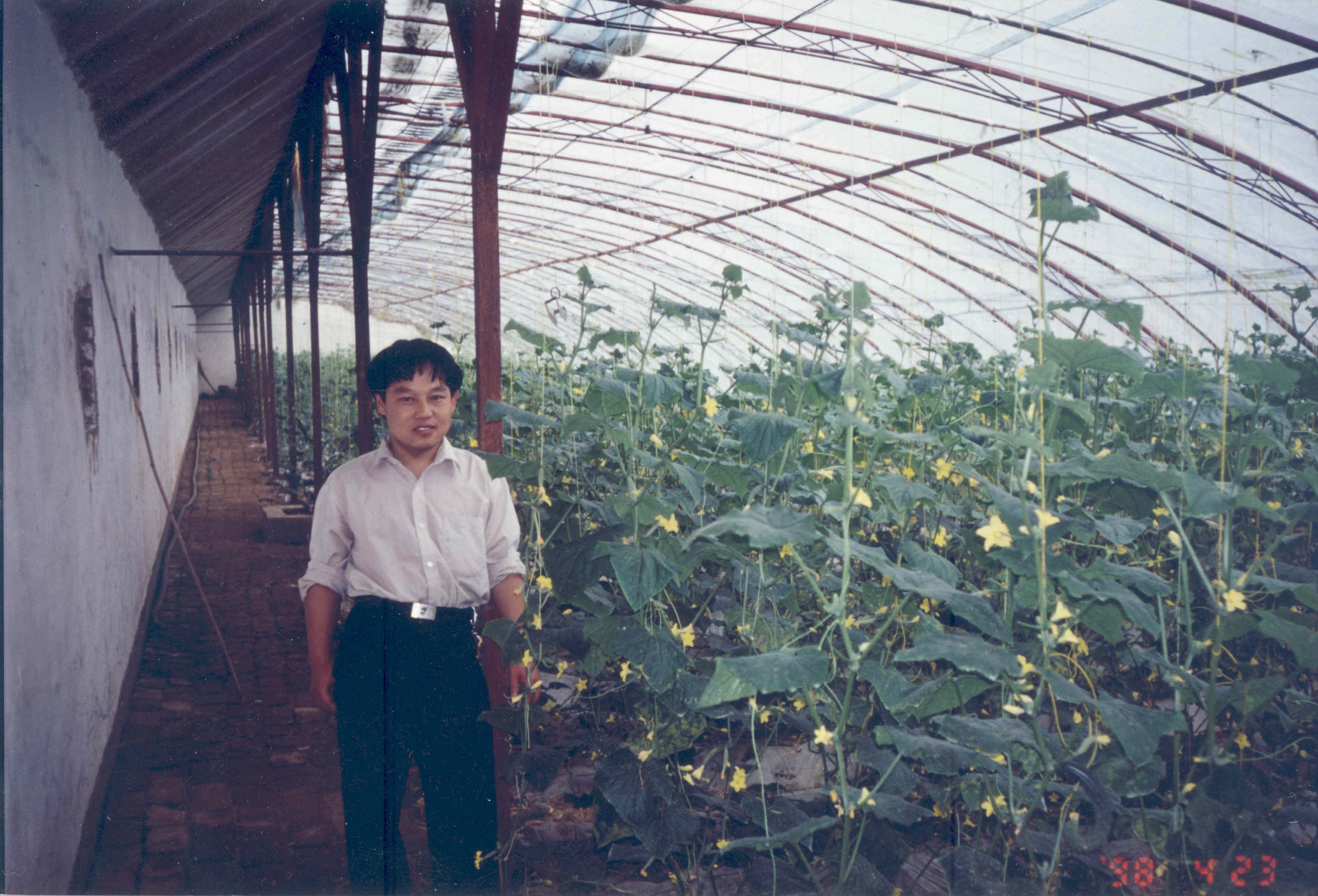 gu-in-chinese-greenhouse2